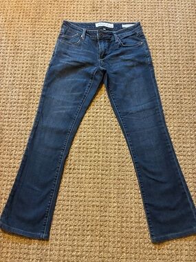 Salt Works Dark Blue Flare Jeans